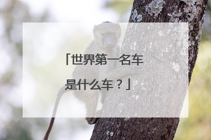 世界第一名车是什么车？