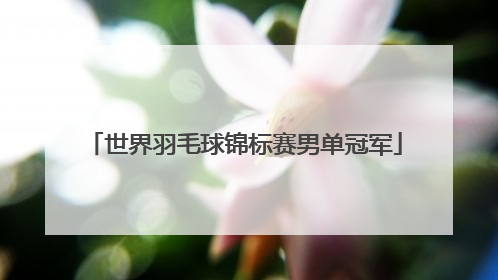 世界羽毛球锦标赛男单冠军