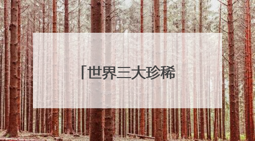 世界三大珍稀动物是什么？