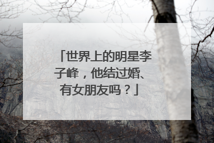 世界上的明星李子峰，他结过婚、有女朋友吗？