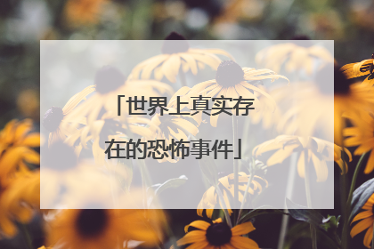 世界上真实存在的恐怖事件
