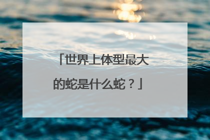 世界上体型最大的蛇是什么蛇?
