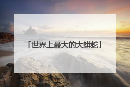 世界上最大的大蟒蛇