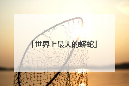 世界上最大的蟒蛇