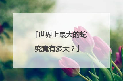 世界上最大的蛇究竟有多大?