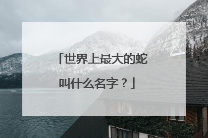 世界上最大的蛇叫什么名字?