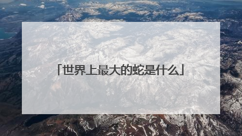 世界上最大的蛇是什么