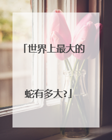 世界上最大的蛇有多大?