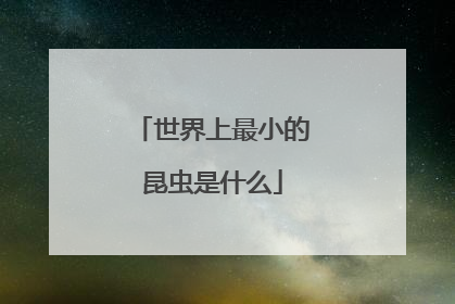 世界上最小的昆虫是什么