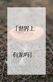 世界上有龙吗