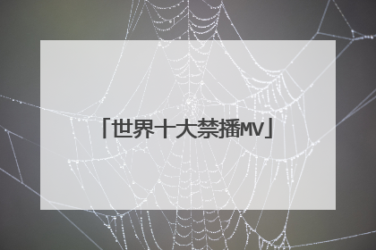 世界十大禁播MV
