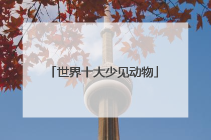 世界十大少见动物