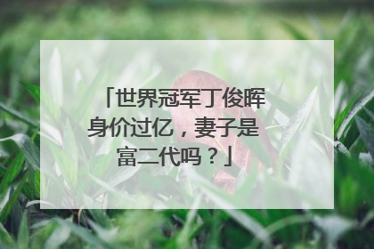 世界冠军丁俊晖身价过亿,妻子是富二代吗?