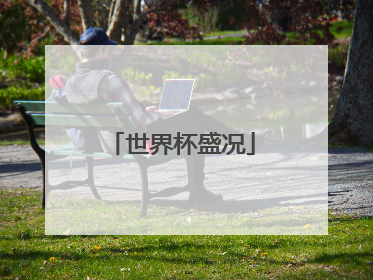 世界杯盛况