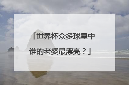 世界杯众多球星中谁的老婆最漂亮？
