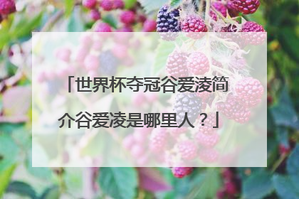 世界杯夺冠谷爱淩简介谷爱凌是哪里人？