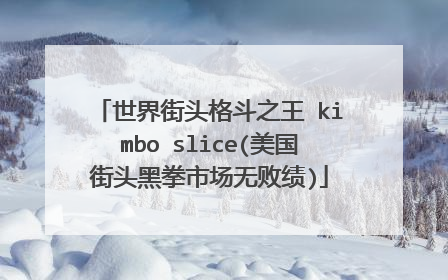 世界街头格斗之王 kimbo slice(美国街头黑拳市场无败绩)