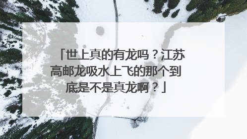 世上真的有龙吗?江苏高邮龙吸水上飞的那个到底是不是真龙啊?
