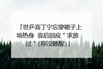 世乒赛丁宁忘穿裙子上场热身 赛后回应＂求放过＂(称没睡醒)