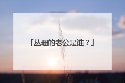 丛珊的老公是谁？