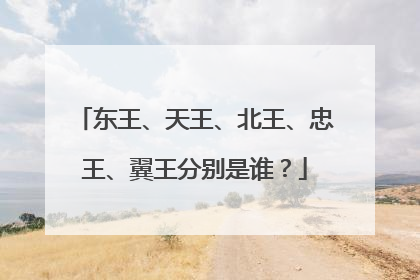 东王、天王、北王、忠王、翼王分别是谁？