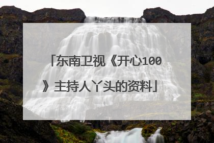 东南卫视《开心100》主持人丫头的资料