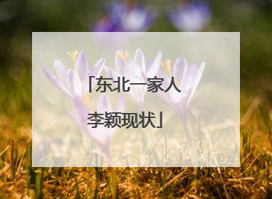 东北一家人李颖现状