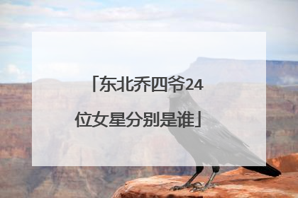 东北乔四爷24位女星分别是谁