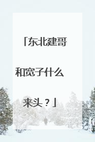 东北建哥和宽子什么来头?