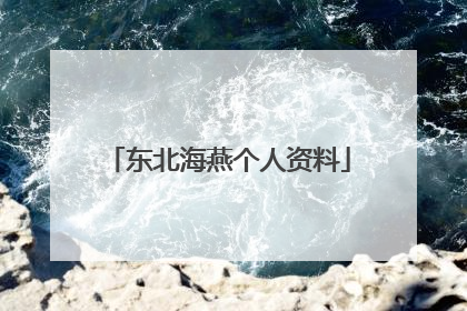 东北海燕个人资料