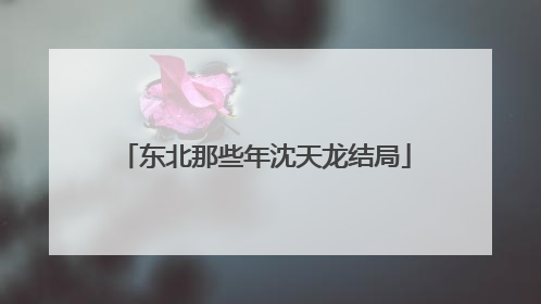 东北那些年沈天龙结局