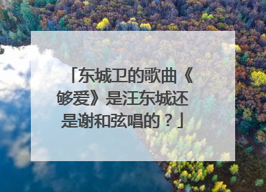 东城卫的歌曲《够爱》是汪东城还是谢和弦唱的？