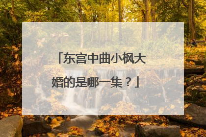 东宫中曲小枫大婚的是哪一集?