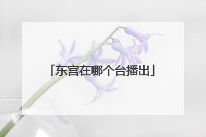 东宫在哪个台播出