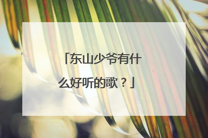 东山少爷有什么好听的歌?
