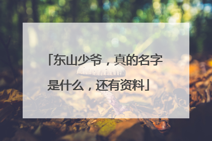 东山少爷,真的名字是什么,还有资料