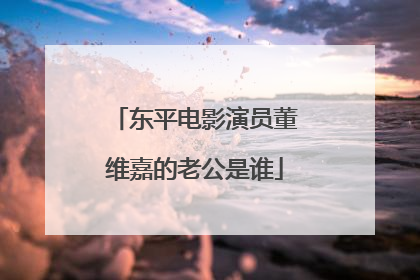 东平电影演员董维嘉的老公是谁
