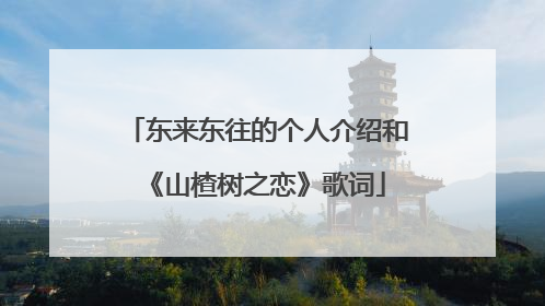 东来东往的个人介绍和《山楂树之恋》歌词