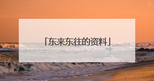 东来东往的资料