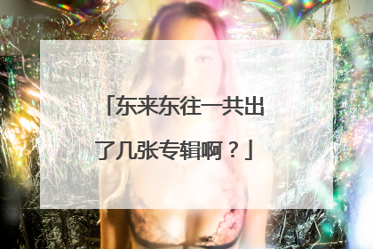 东来东往一共出了几张专辑啊？