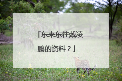 东来东往戴凌鹏的资料?