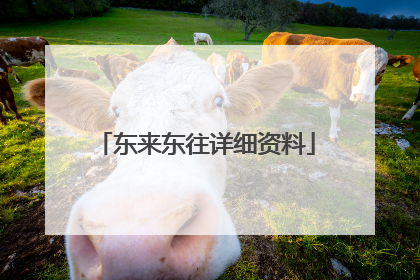 东来东往详细资料