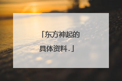 东方神起的具体资料.