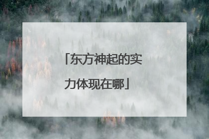 东方神起的实力体现在哪