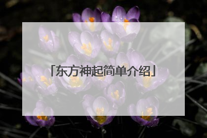 东方神起简单介绍