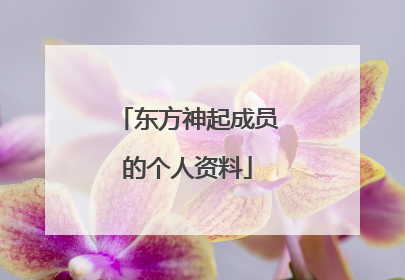 东方神起成员的个人资料