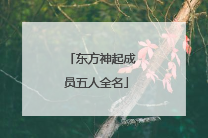 东方神起成员五人全名