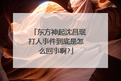 东方神起沈昌珉打人事件到底是怎么回事啊?