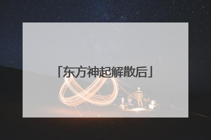 东方神起解散后
