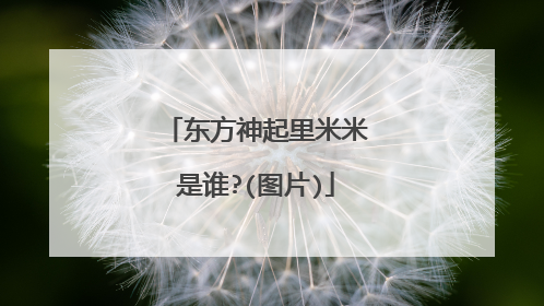 东方神起里米米是谁?(图片)